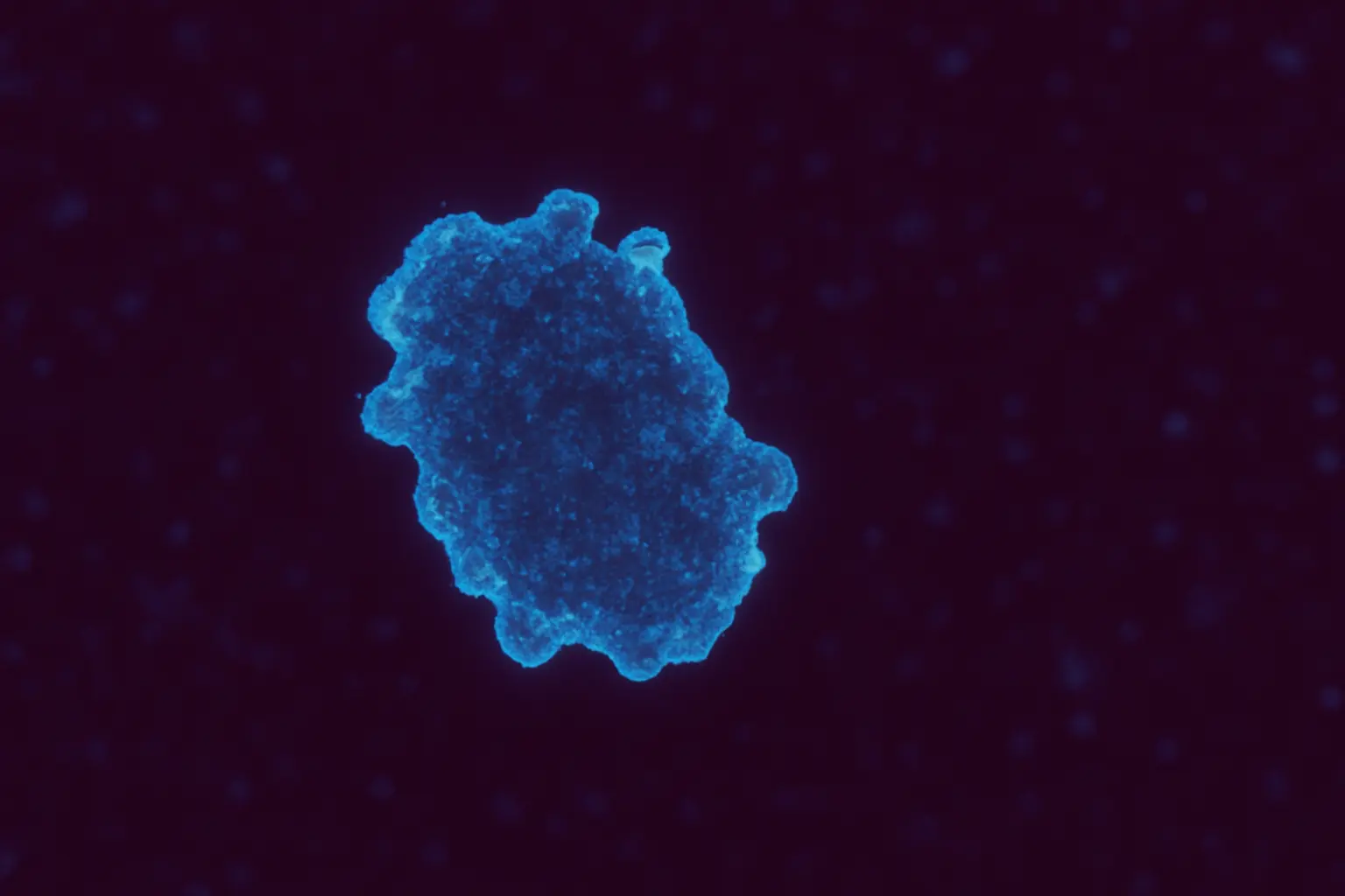 Microscopic view of fat-burning molecules 2025
